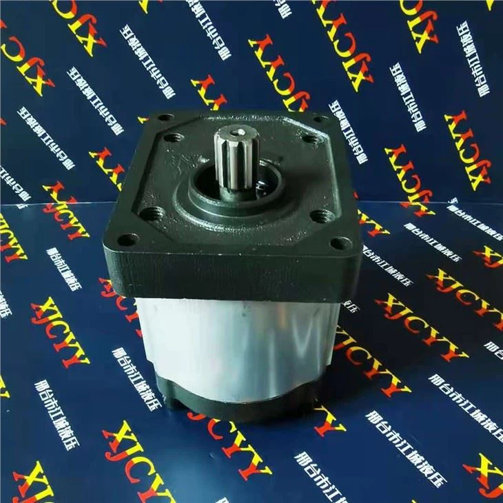 Case Tractor Pump 301022A1