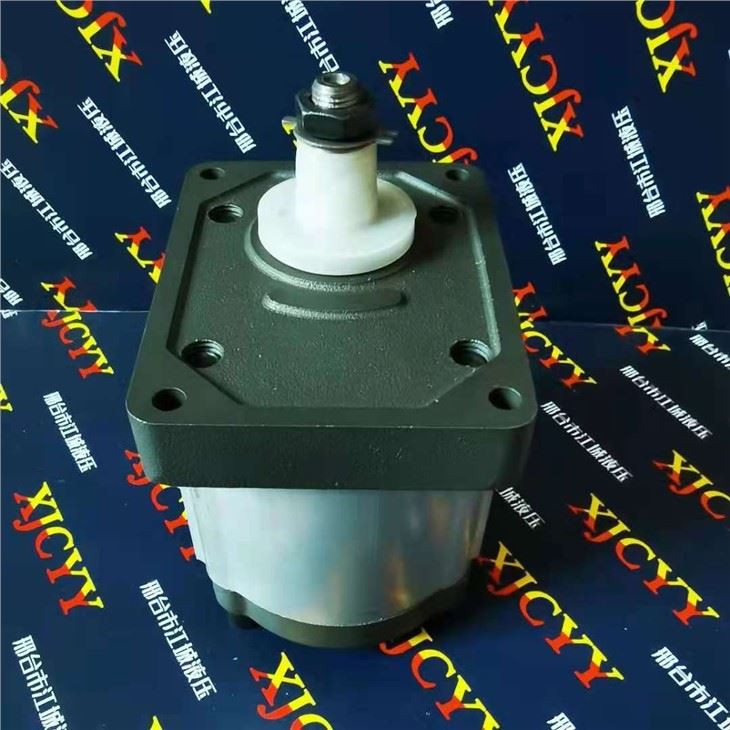 Fiat Tractor Pump 5179719